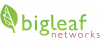 BigLeaf