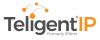 Teligent IP